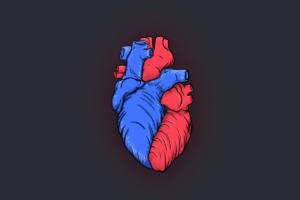 ilustracja serca